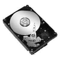 Afbeelding van 1 TB Seagate st31000524as harddisk sata3